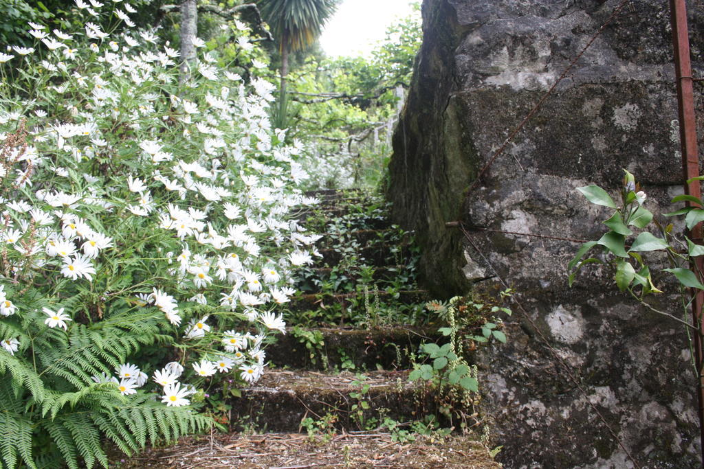 Quinta Das Leiras Santo Tirso Dış mekan fotoğraf