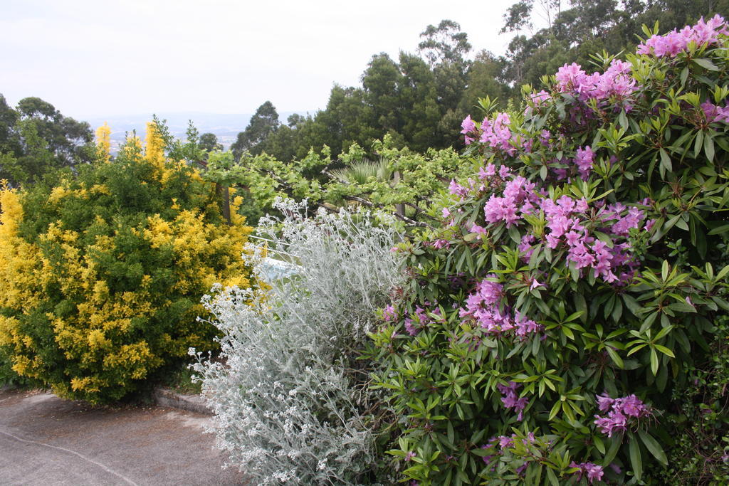 Quinta Das Leiras Santo Tirso Dış mekan fotoğraf