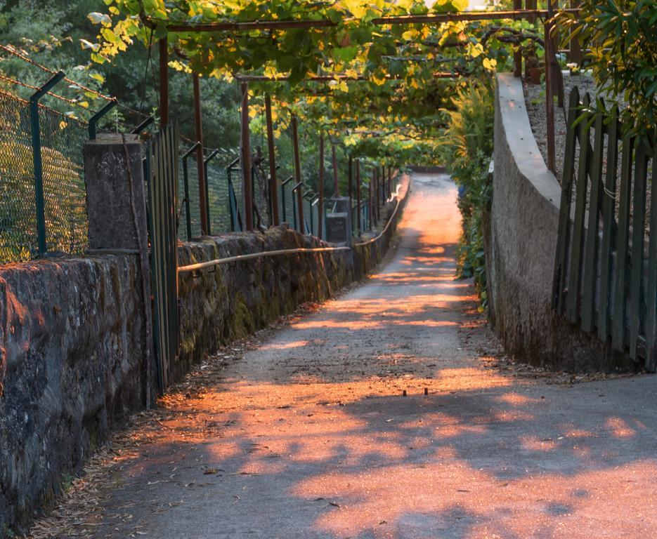 Quinta Das Leiras Santo Tirso Dış mekan fotoğraf